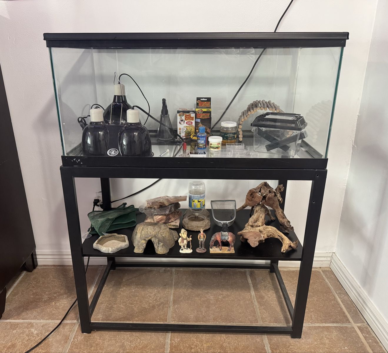 Reptile Enclosure