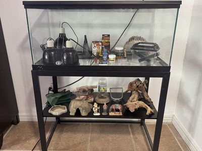 Reptile Enclosure