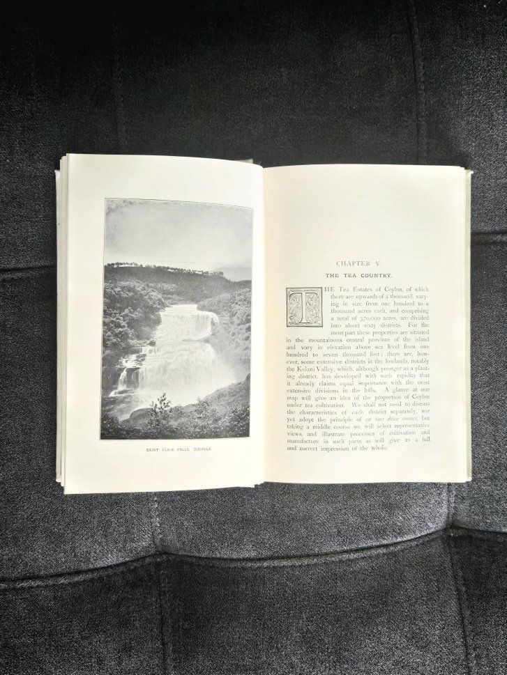 Main image 5