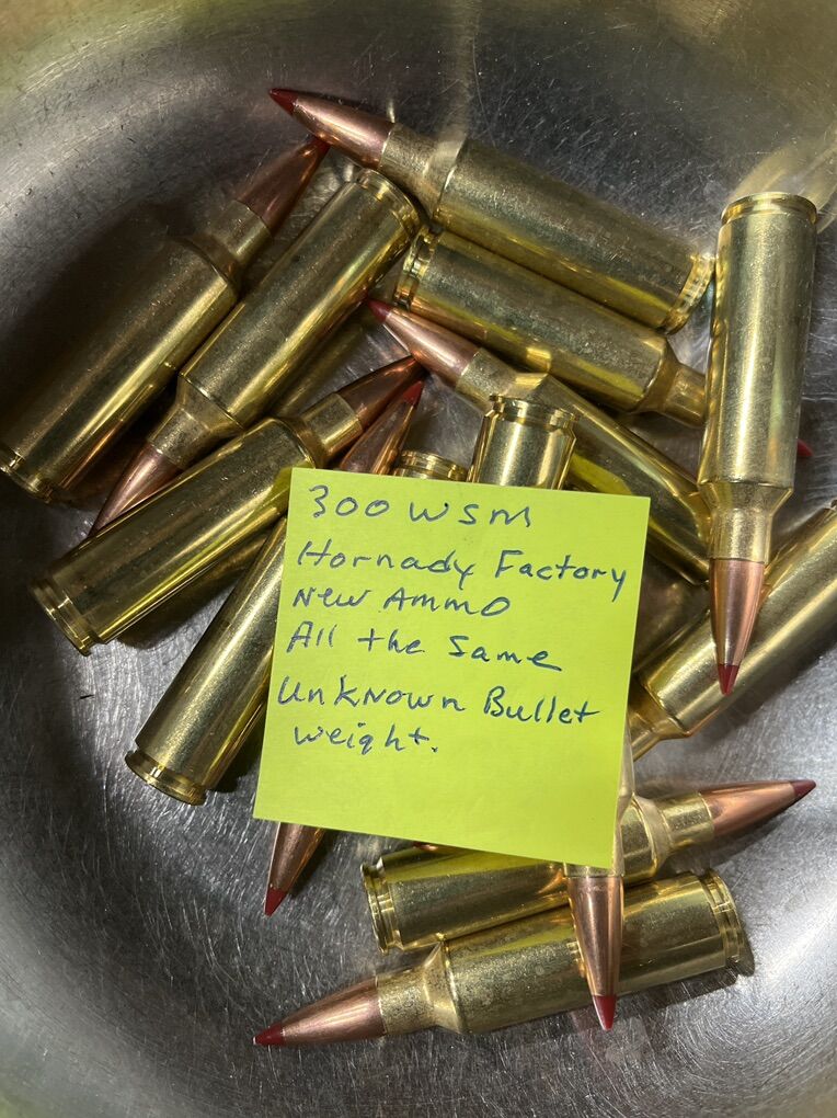 300 WSM Ammo.