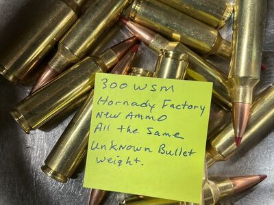 300 WSM Ammo.