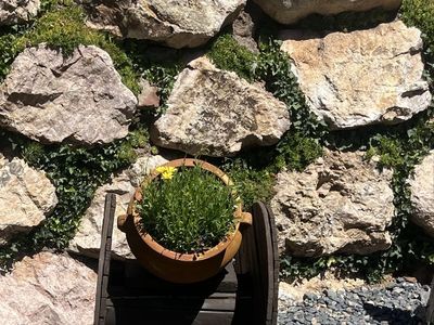 Two wooden spool flower pot stands