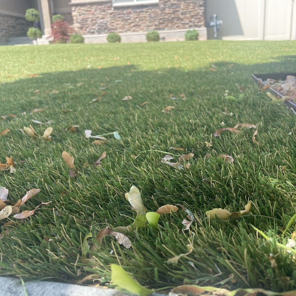 Premium Artificial Grass | Artificial Turf ($0.75)