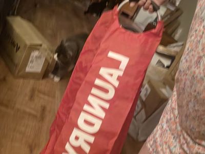 Red Laundry Hamper Basket with Handles