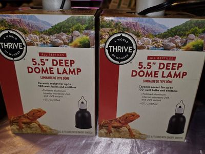 Reptile heating lamp