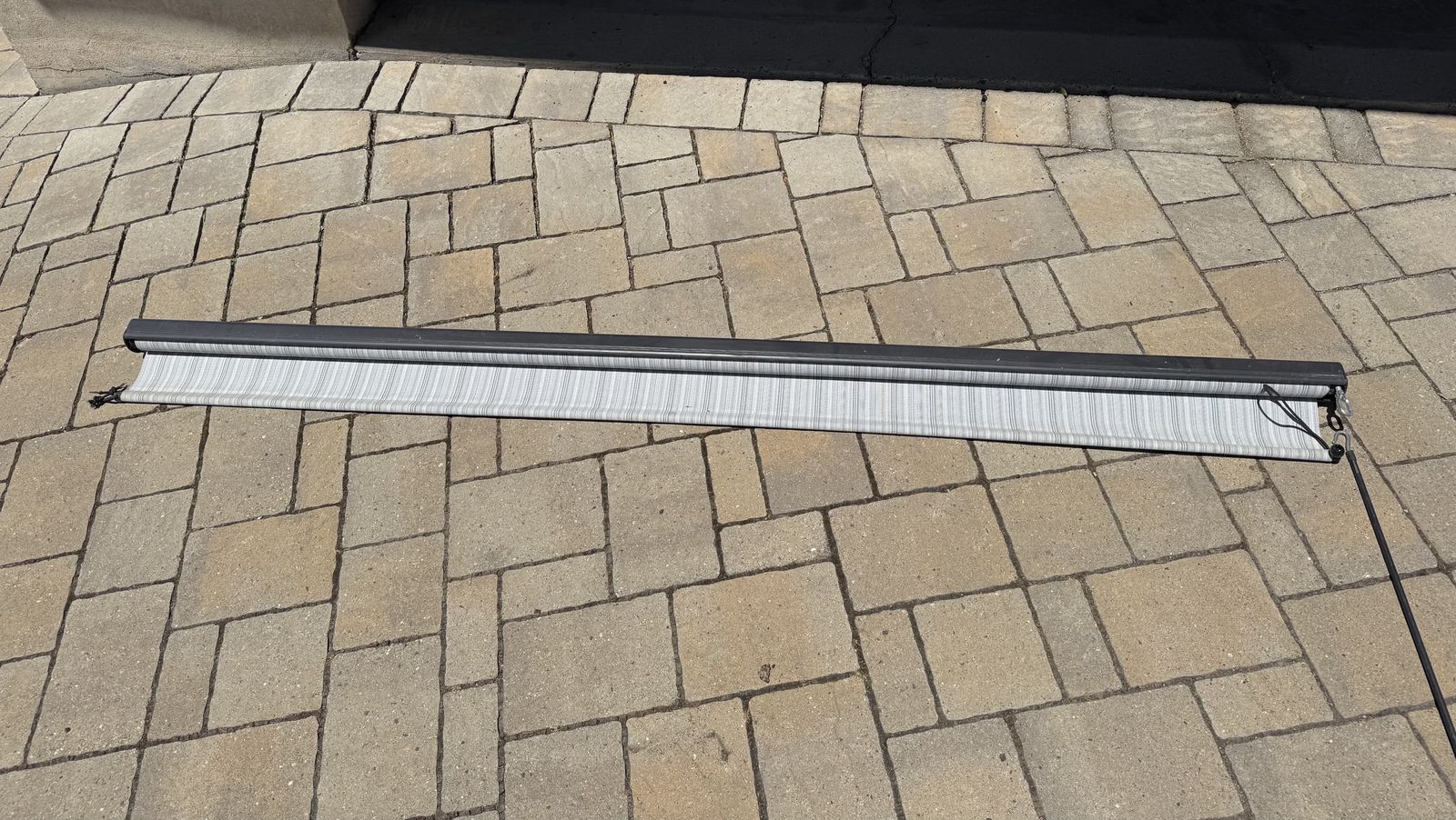 Coolaroo Exterior patio Roller Shade 96 in. W