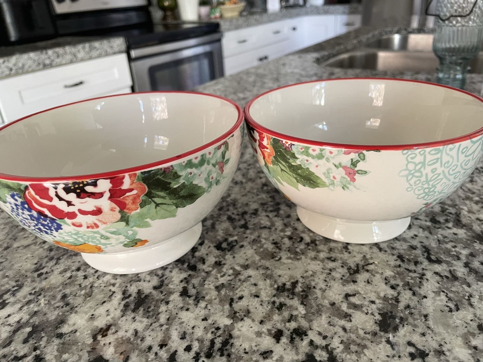 2 x The Pioneer Woman Footed Country Garden Stoneware Cereal Soup Bowl Red Rim 6"