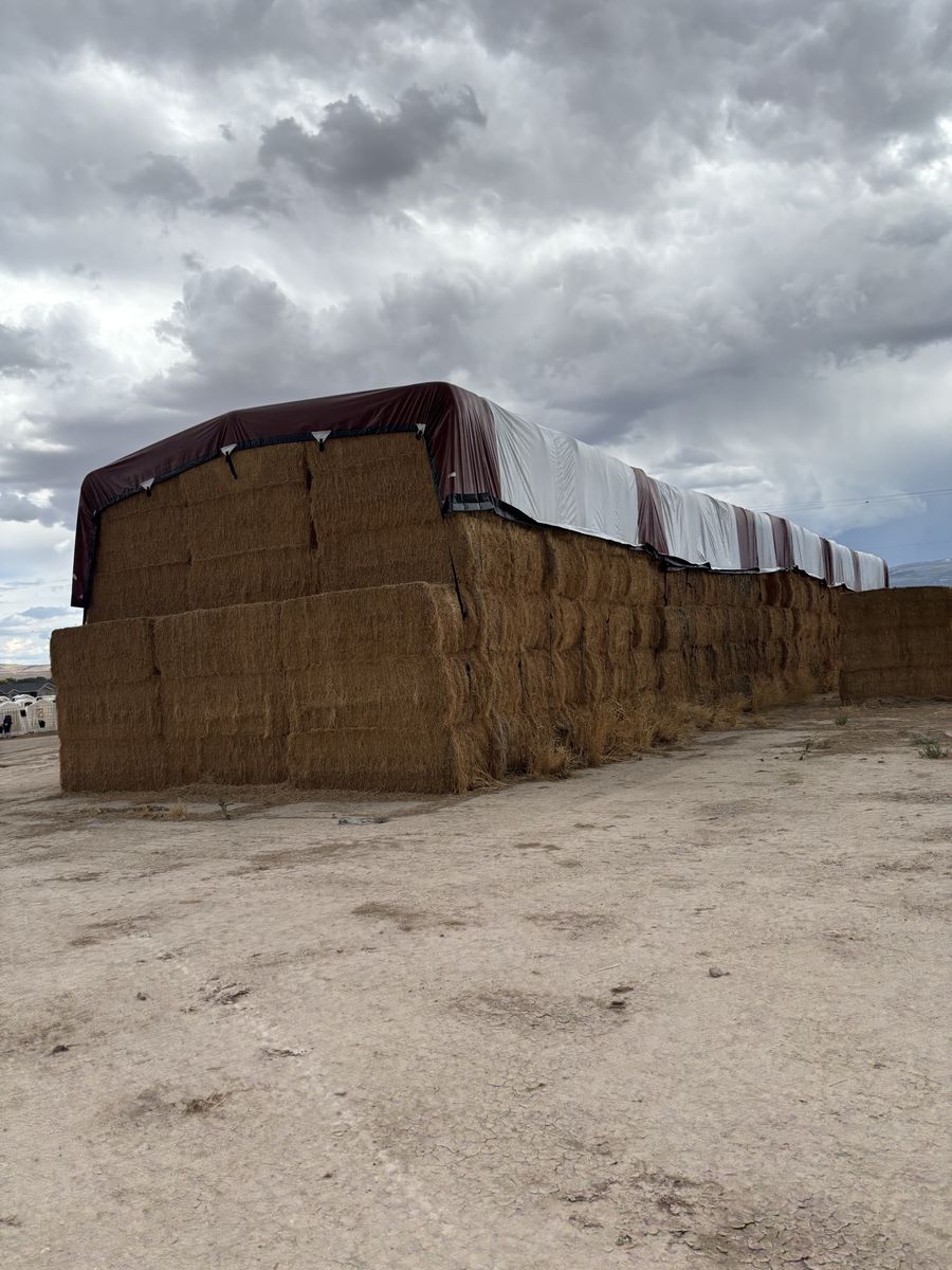 3x4 Alfalfa Hay