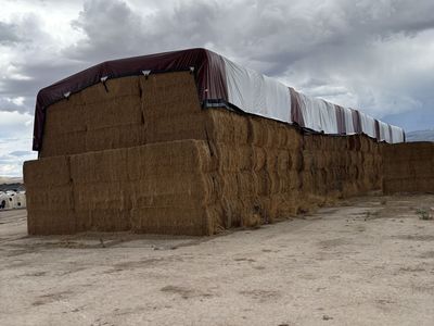 3x4 Alfalfa Hay