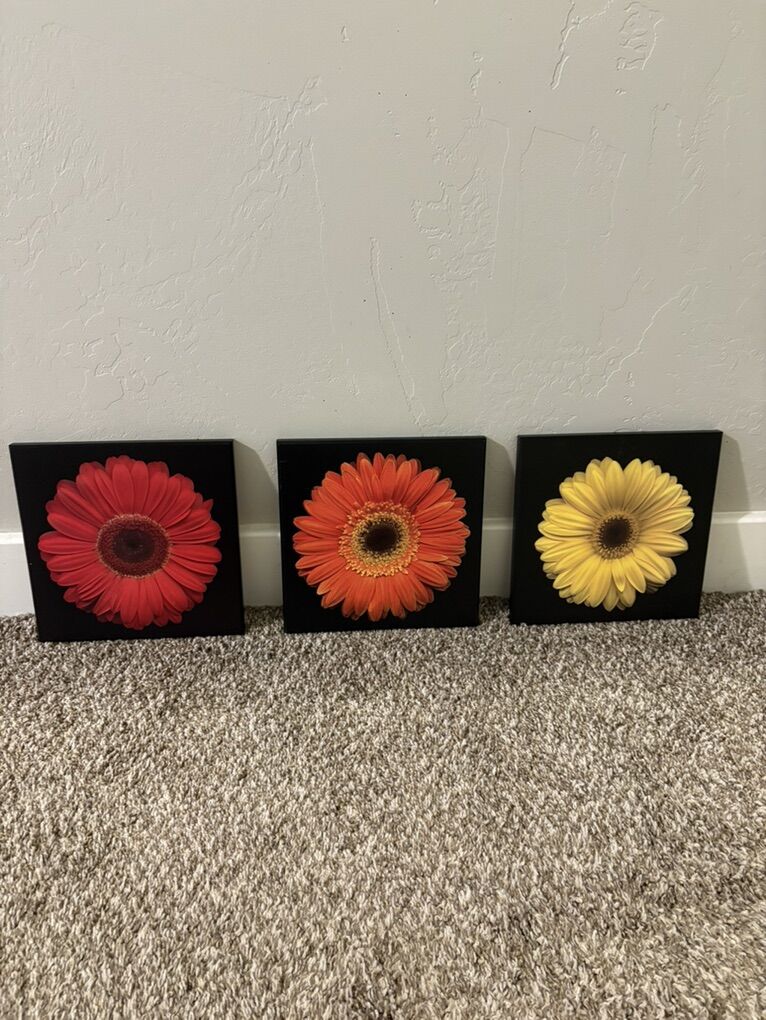 Daisy Home Decor