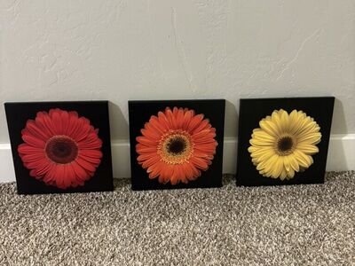 Daisy Home Decor