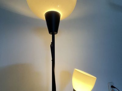 Floor Lamp with Adjustable Reading Light