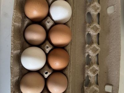 Unwashed Free Range Chicken Eggs