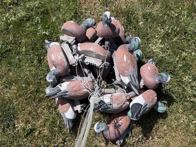 17 Final Approach Last Pass Wigeon Decoys