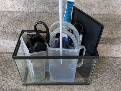Fish tank