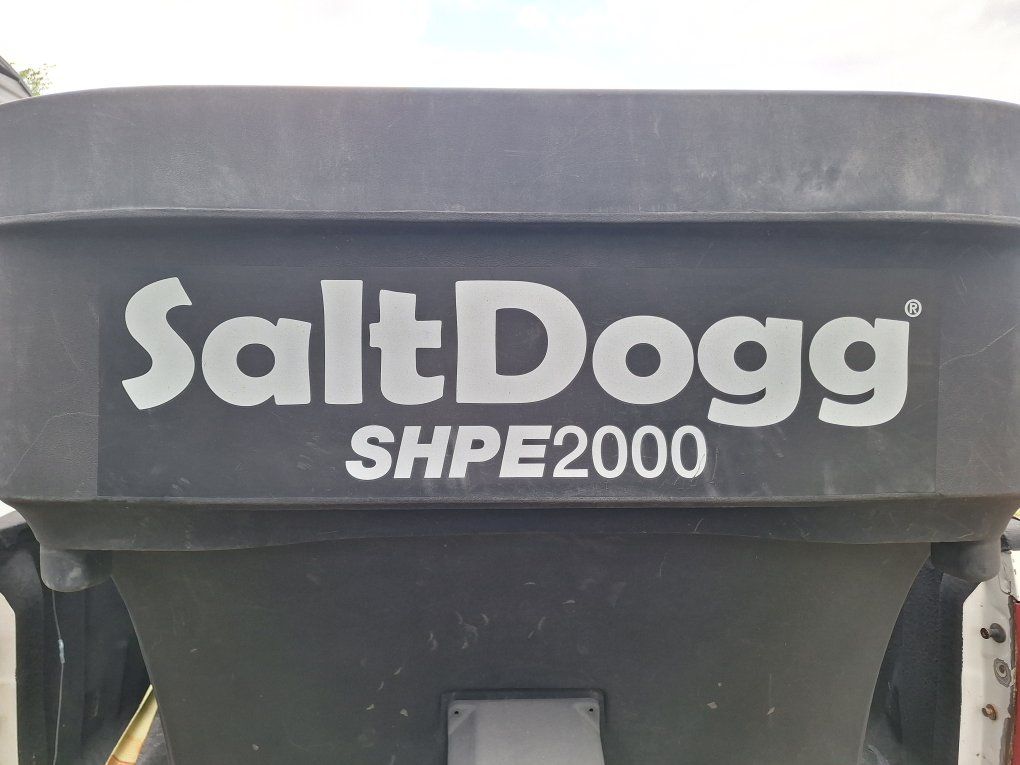 SaltDogg in bed Salter