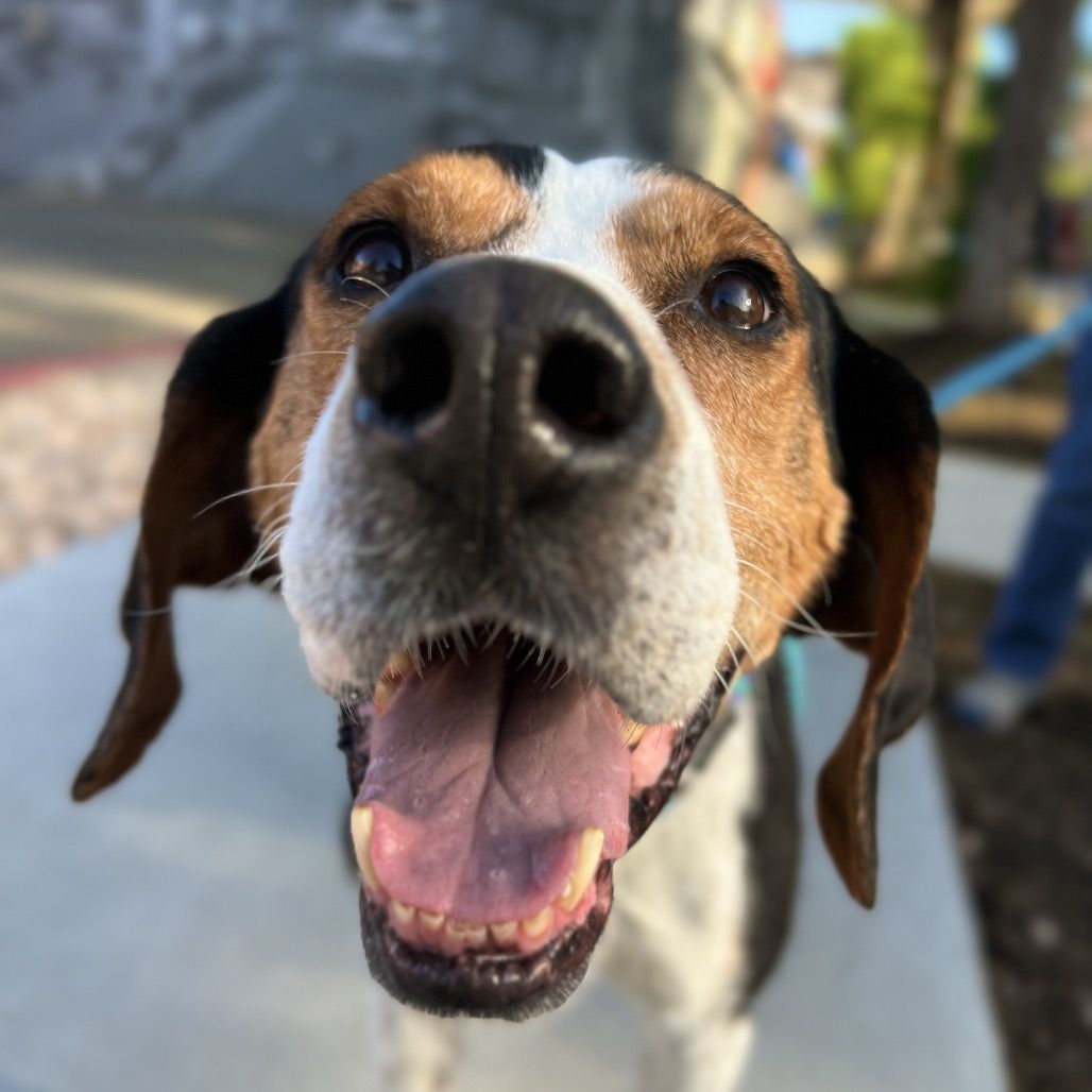 Hello my name is Herschel