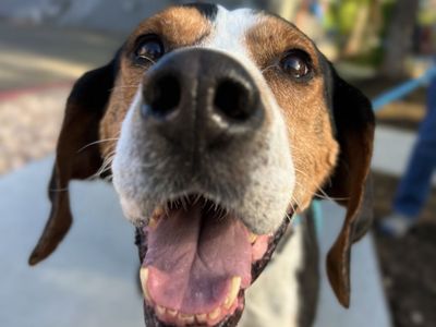 Hello my name is Herschel