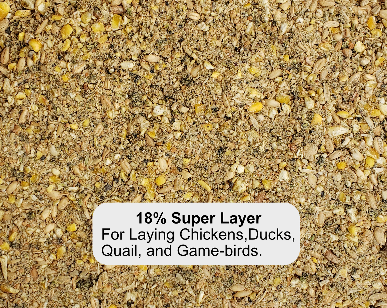 50lbs 18% Breeder Quality Feed, Chickens, Ducks, Quail, Sport Pigeons, Turkey, Exhibition Poultry