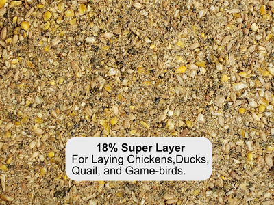 50lbs 18% Breeder Quality Feed, Chickens, Ducks, Quail, Sport Pigeons, Turkey, Exhibition Poultry