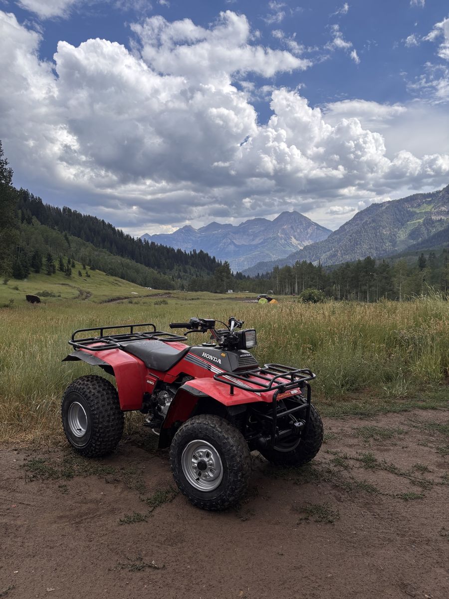 1987 Honda fourtrax 250