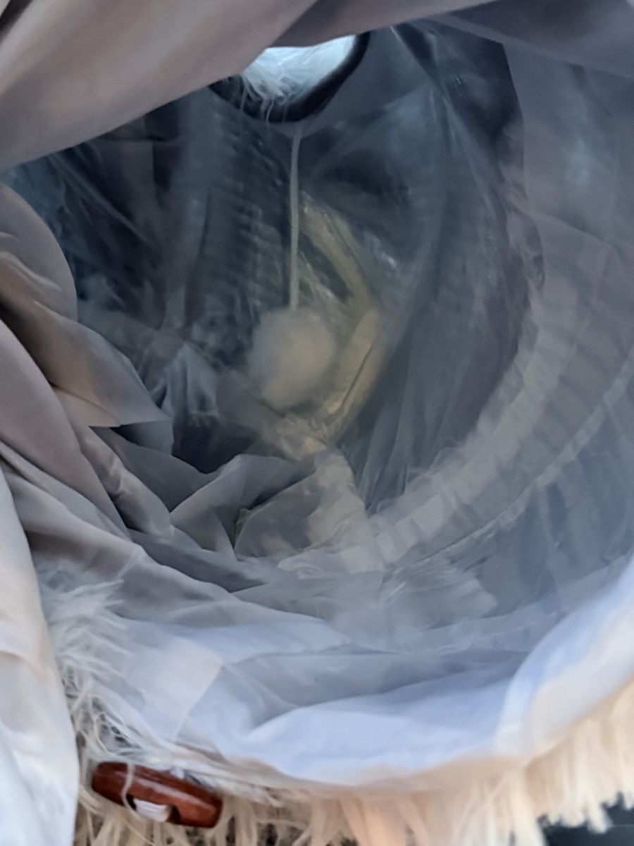 Main image 5