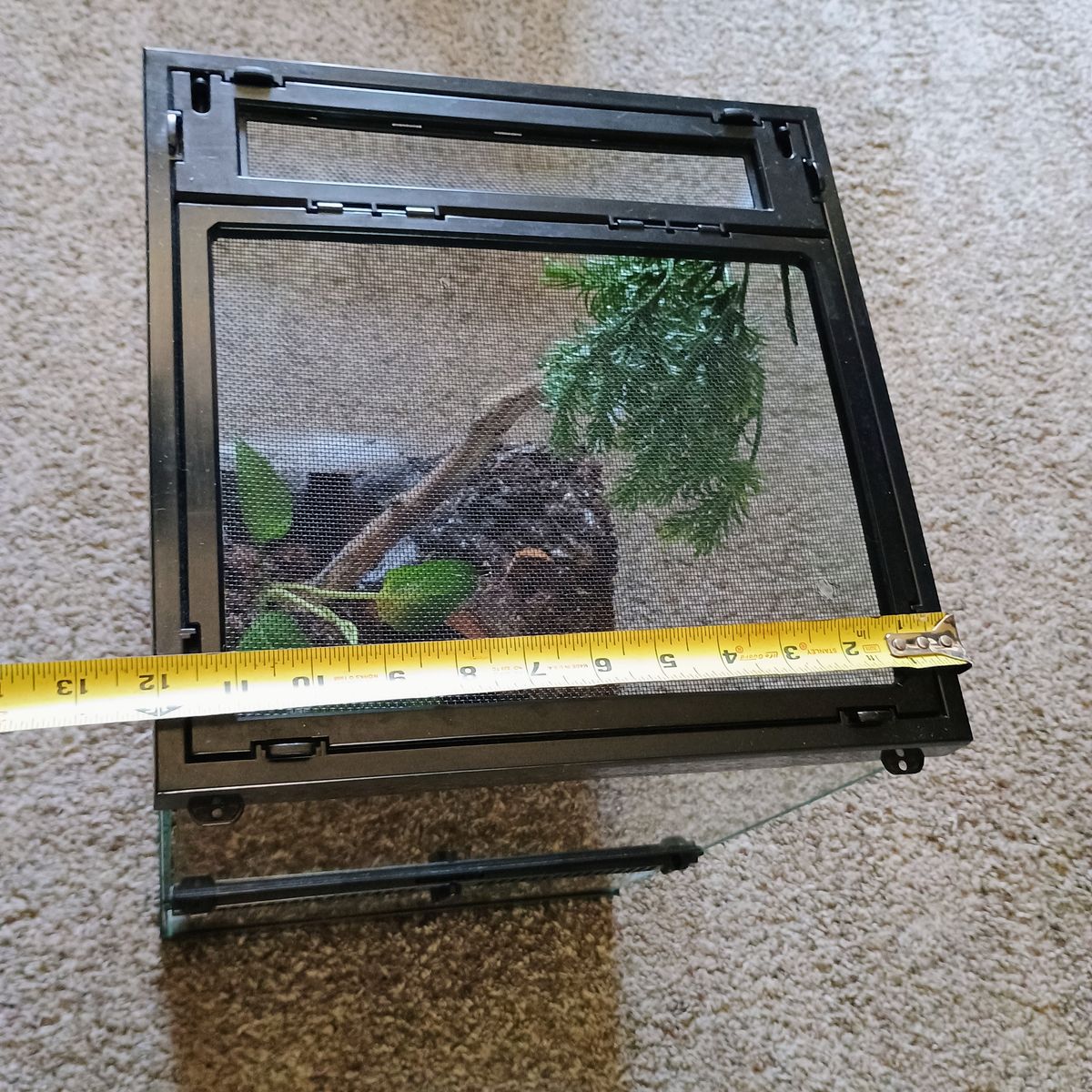 Main image 9