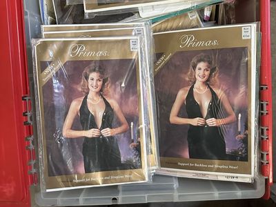 Transparent Support Bra