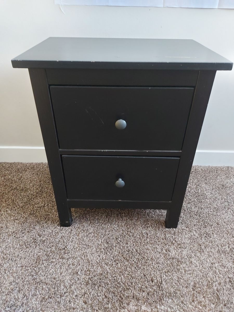 Modern Black 2-Door Cabinet – Light Wood Interior – Good conditions