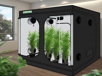 Large Grow Tent 96"x96"x78" (Zazzy Brand)