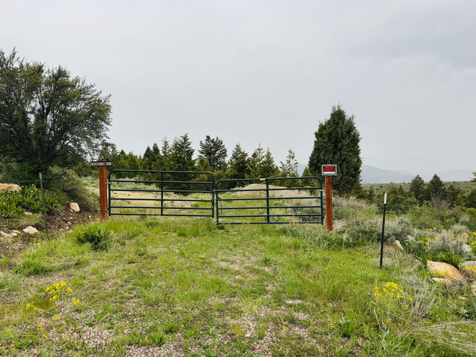 Main image 3