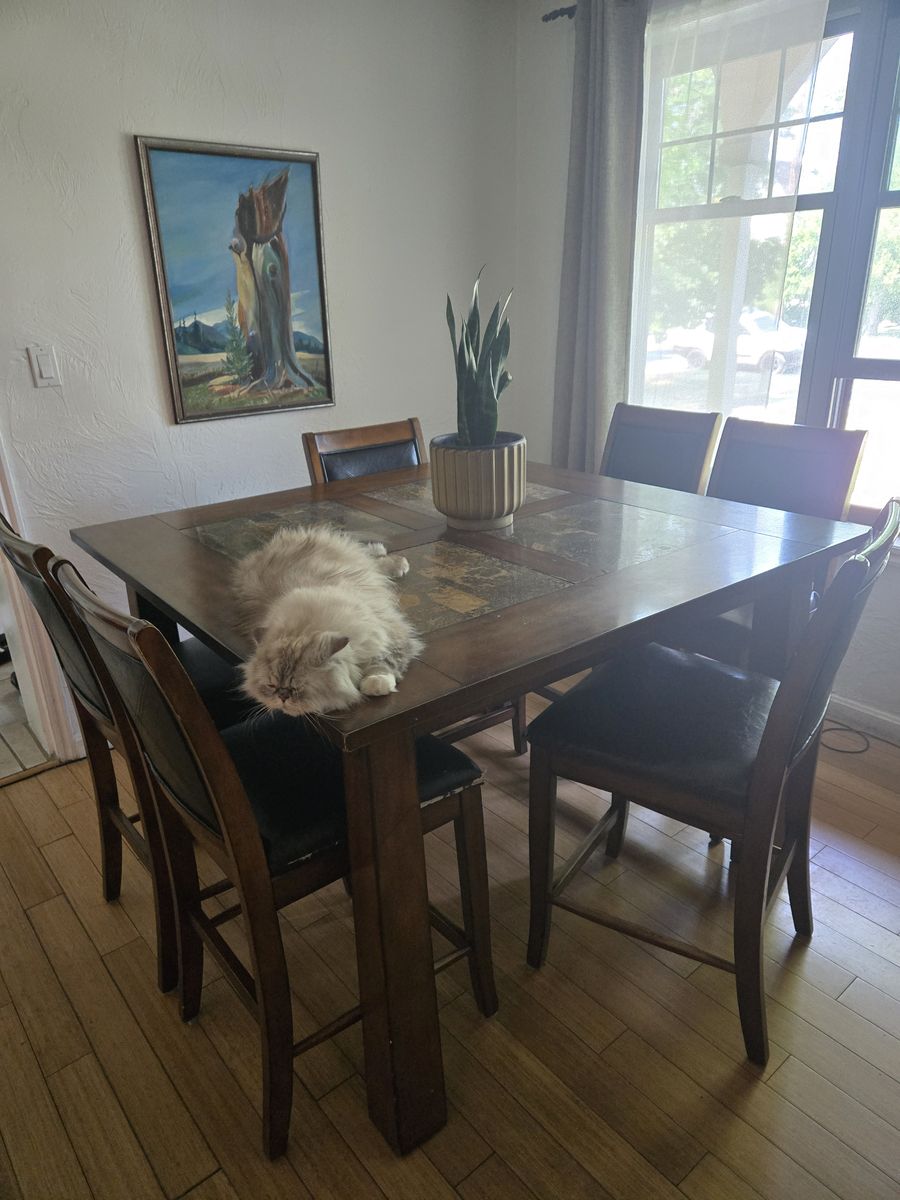 Dining table & 6 Chairs