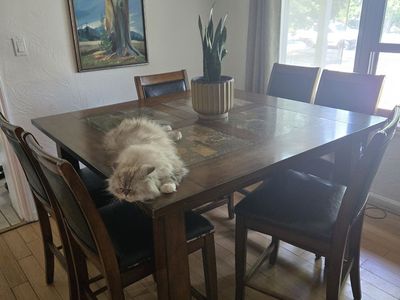 Dining table & 6 Chairs