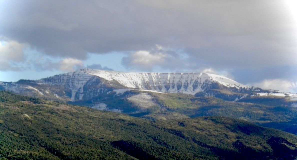 Main image 2
