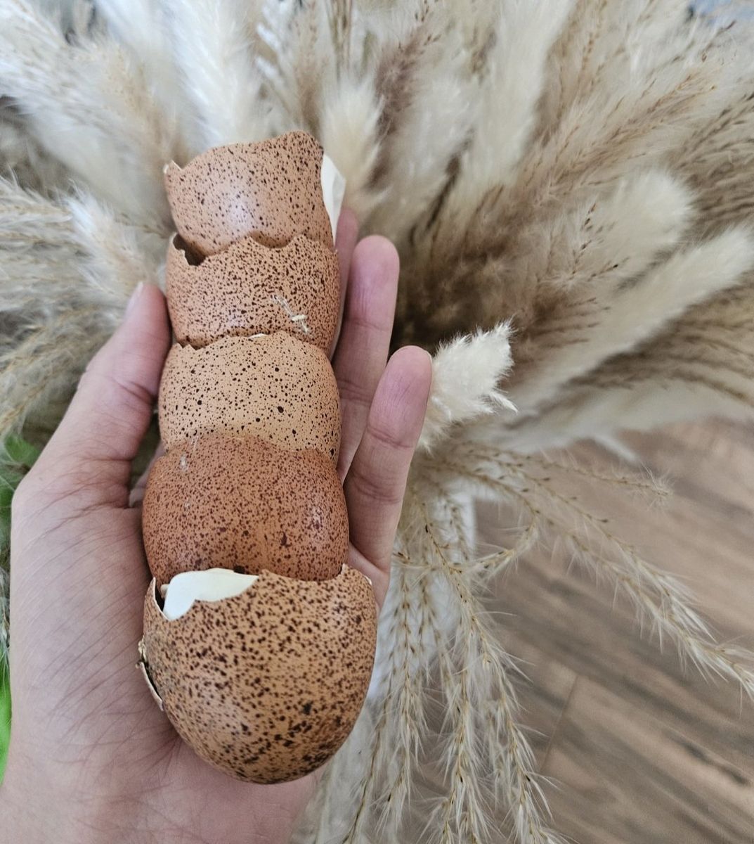 heavy speckled rooster