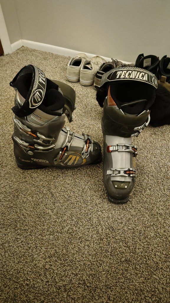 Tecnica Ski Boots