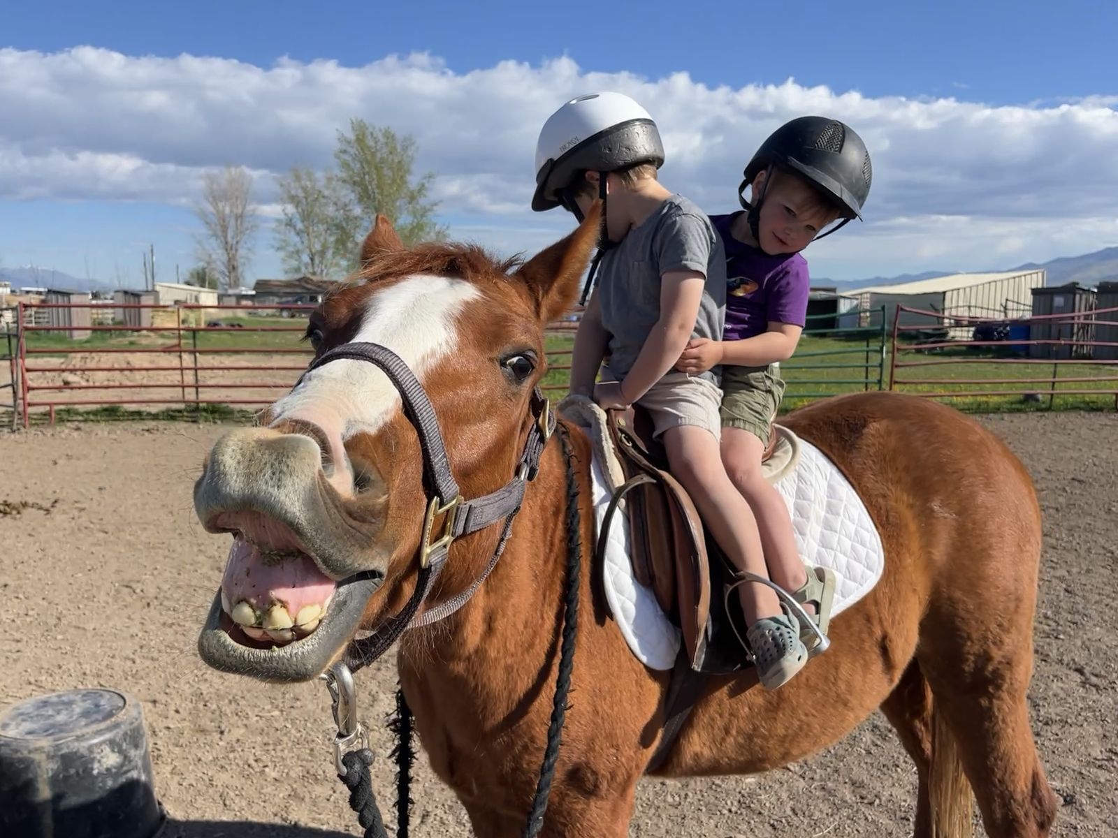 Future Family/Lesson Pony