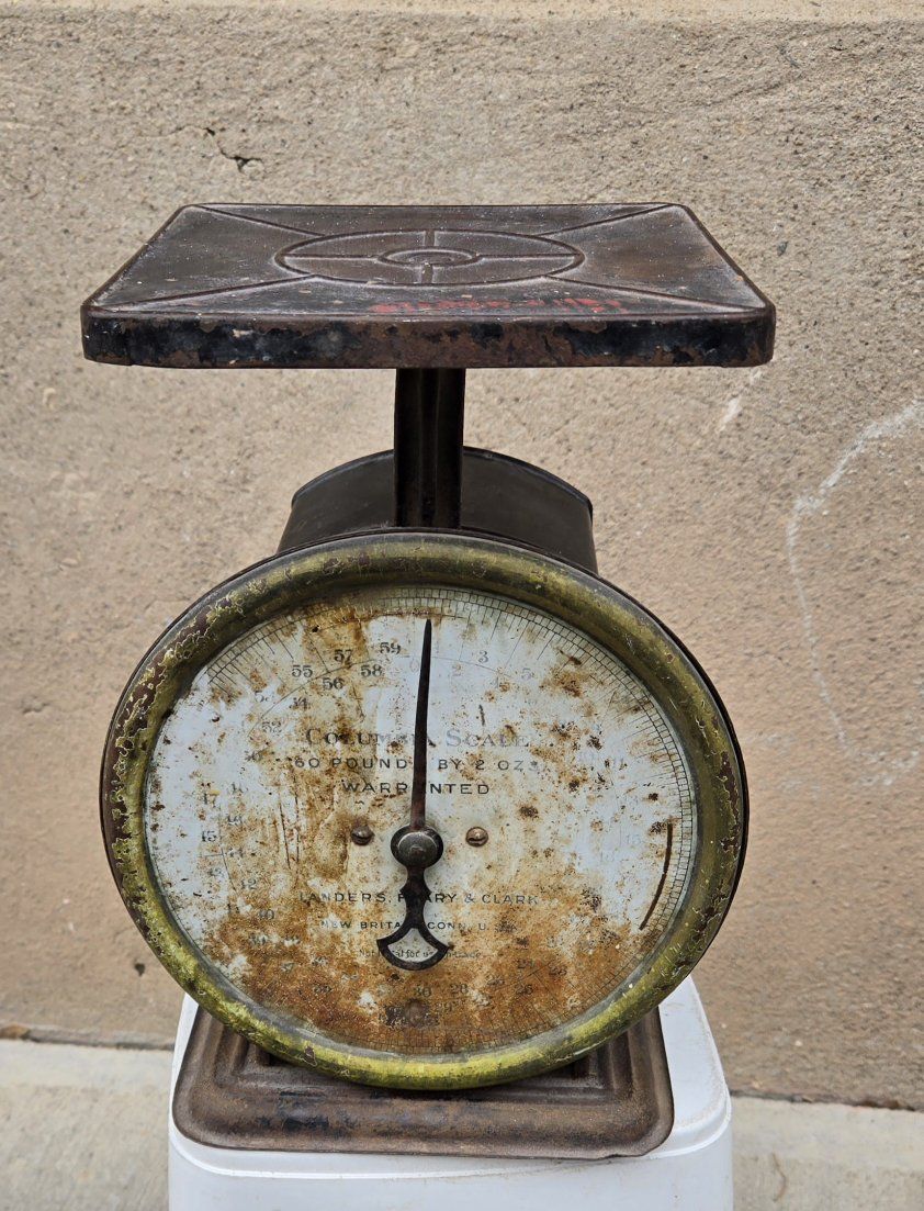 Vintage Columbia Family Scale