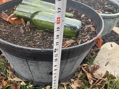 Large 12 Inch Planter Pot