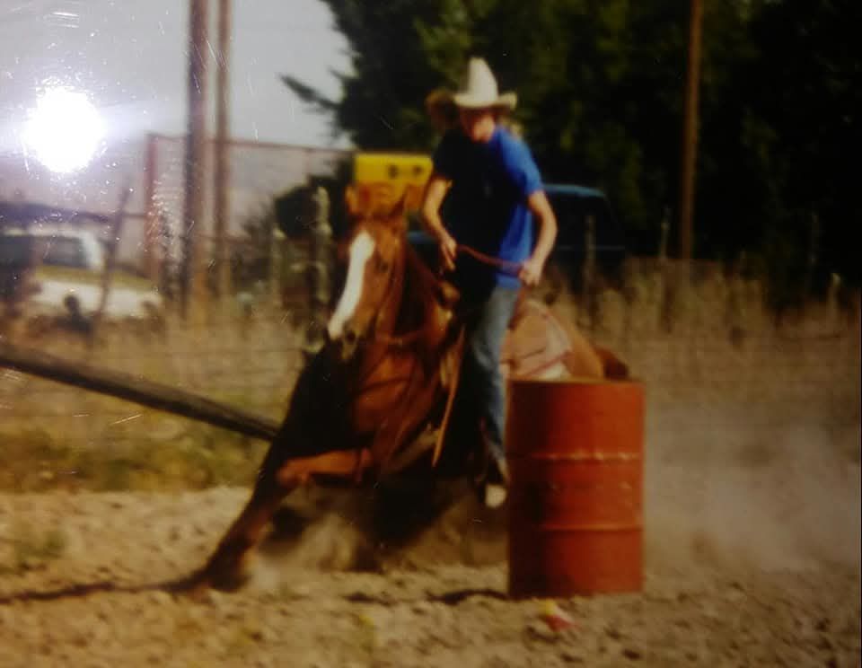 Horses