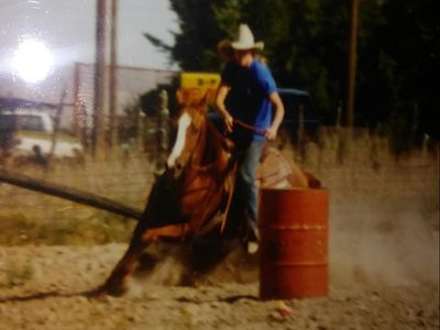 Horses