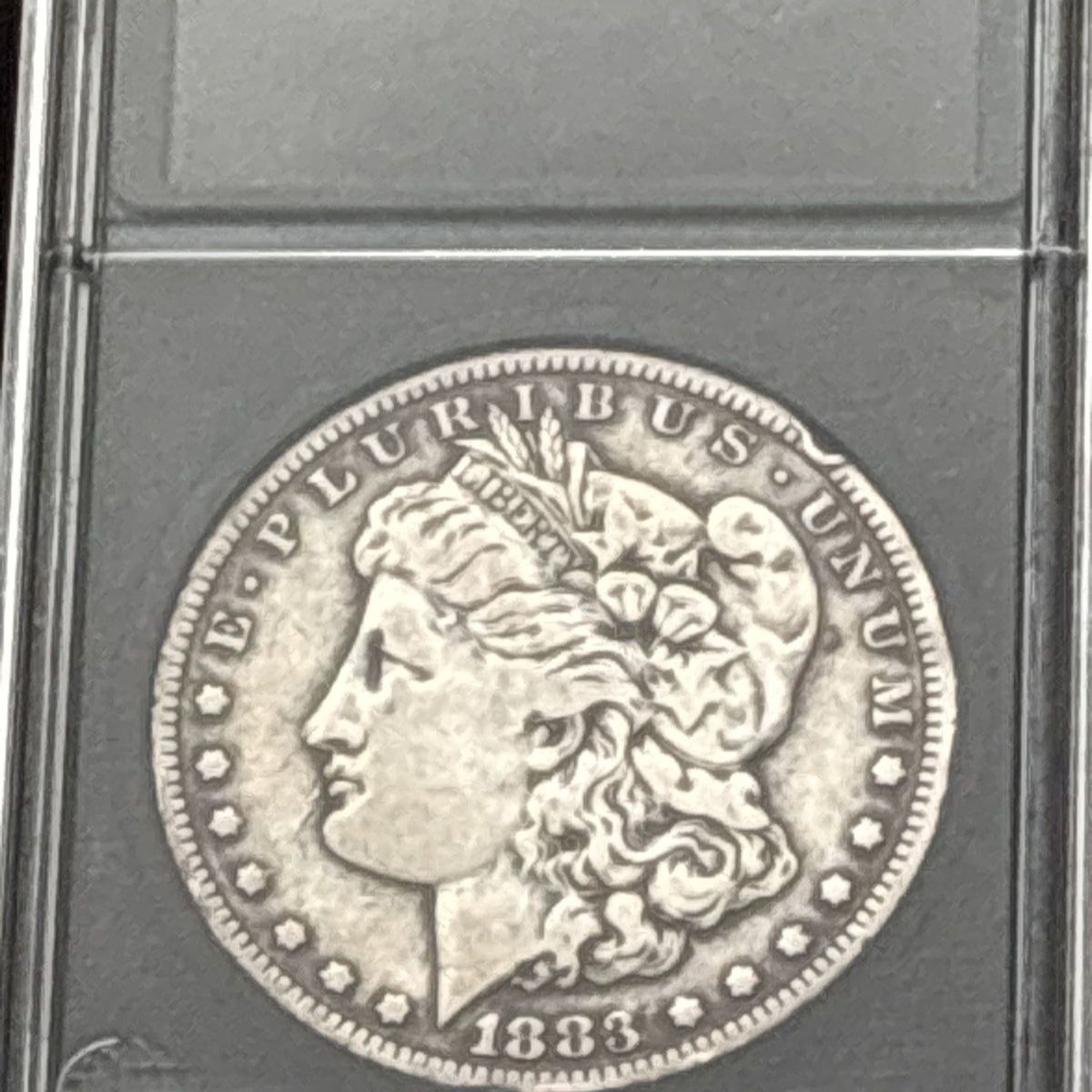 1883 CC Morgan dollar