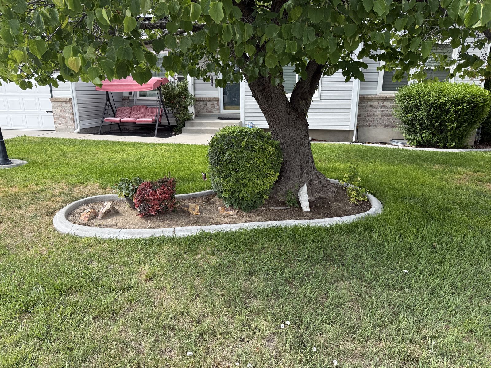 Main image 6