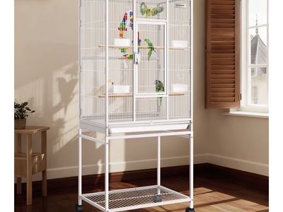 Large Bird Cage