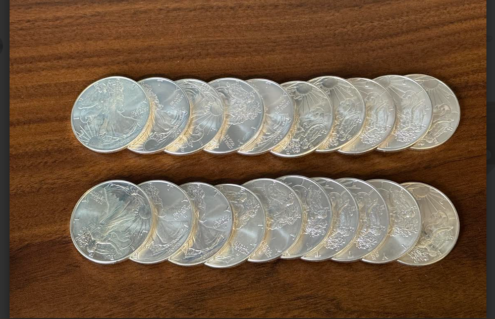 Silver Eagles - Tube of 20