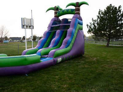 Purple Palm Plunge Water Slide