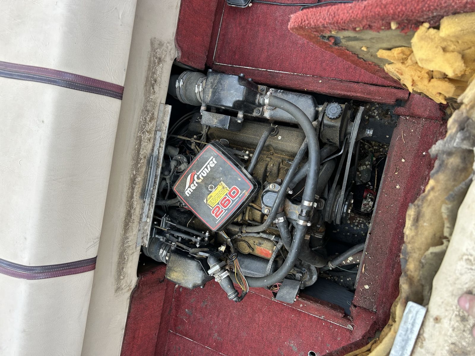 Main image 6