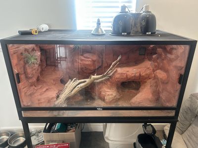 Reptile Tank