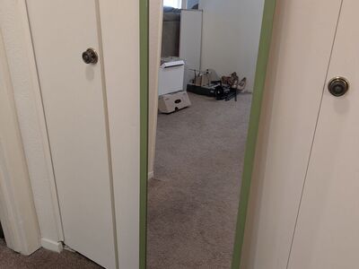 Full Length Mirror - Green Edges