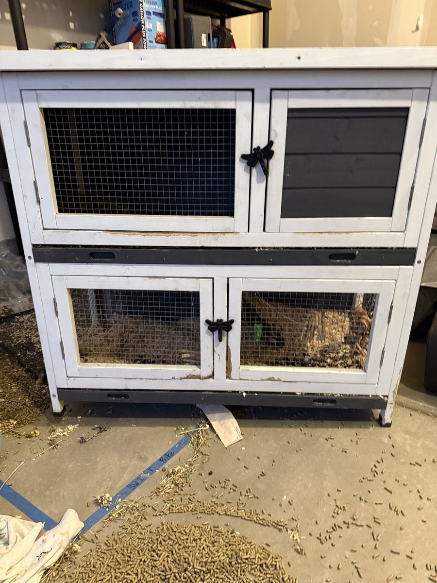 Cute Bunny Hutch